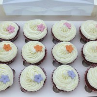 CupCakes with a Single Fondant Flowers